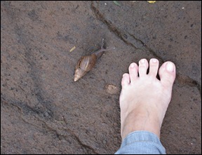IMG_2210 IMG_2210