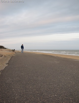 IMG_5294 IMG_5294