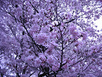 DSCN1791.JPG