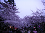 DSCN1794.JPG
