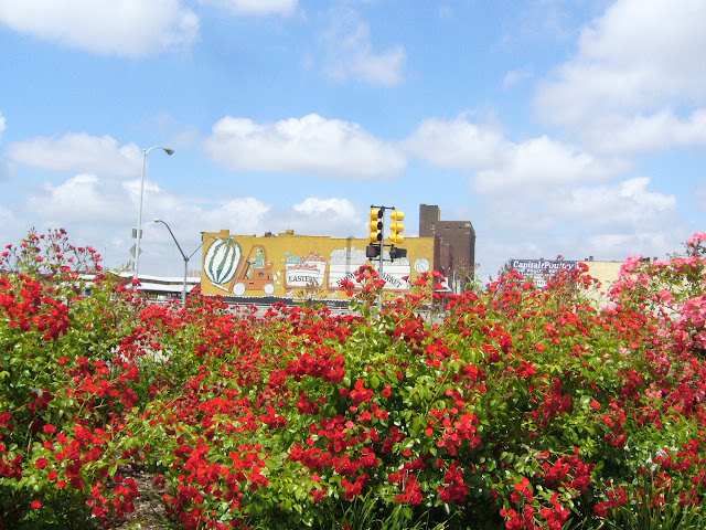 Flowers at the market