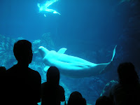 DSCN0076.JPG