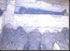 clip_image009 clip_image009