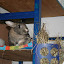 unser Minizoo &ndash; Zora