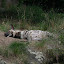 Tierpark Berlin am 23. August 2007 &ndash; 