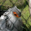 Tierpark Berlin am 23. August 2007 &ndash; 