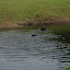 Tierpark Berlin am 23. August 2007 &ndash; 