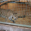 Tierpark Berlin am 23. August 2007 &ndash; 