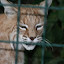 Tierpark Berlin am 23. August 2007 &ndash; 