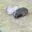 Tierpark Berlin am 23. August 2007 &ndash; 