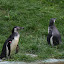 Tierpark Berlin am 23. August 2007 &ndash; 