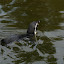 Tierpark Berlin am 23. August 2007 &ndash; 