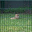 Tierpark Berlin am 23. August 2007 &ndash; 