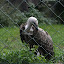 Tierpark Berlin am 23. August 2007 &ndash; 