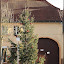  &ndash; Weihnachtsbaum