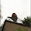 Furnierwerk Karlshorst (LP) &ndash; 