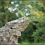 Caching-Tour Polen – Denkmal Caching-Tour Polen – Denkmal