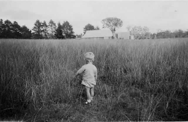 [Cousin Jamie Glenroy 1960[5].jpg]