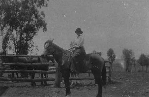 [Aunt Ellie Inverell[12].jpg]