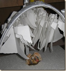 IMG_0030 IMG_0030