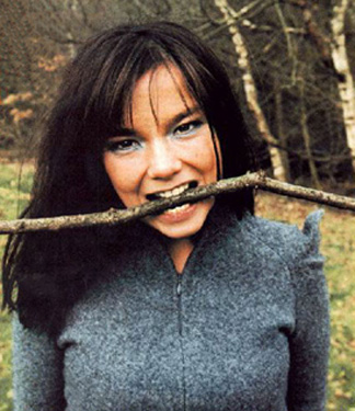 bjork weird