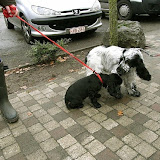 ** PLEASE DESCRIBE THIS IMAGE **