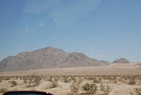 DSC_4168.JPG