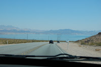 DSC_4205.JPG Photo