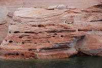 DSC_4488.JPG