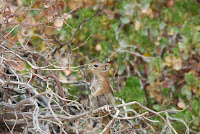 DSC_5075.JPG