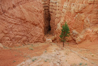 DSC_4984.JPG