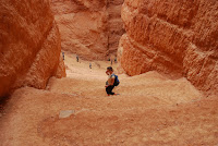 DSC_4995.JPG