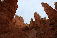 DSC_4997.JPG