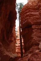 DSC_5034.JPG