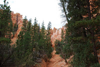 DSC_5041.JPG