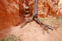DSC_5097.JPG