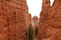 DSC_5104.JPG