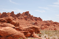 DSC_5202.JPG