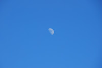 DSC_5312.JPG