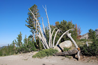 DSC_5319.JPG