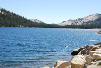 DSC_5350.JPG Photo