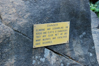 DSC_5397.JPG Photo