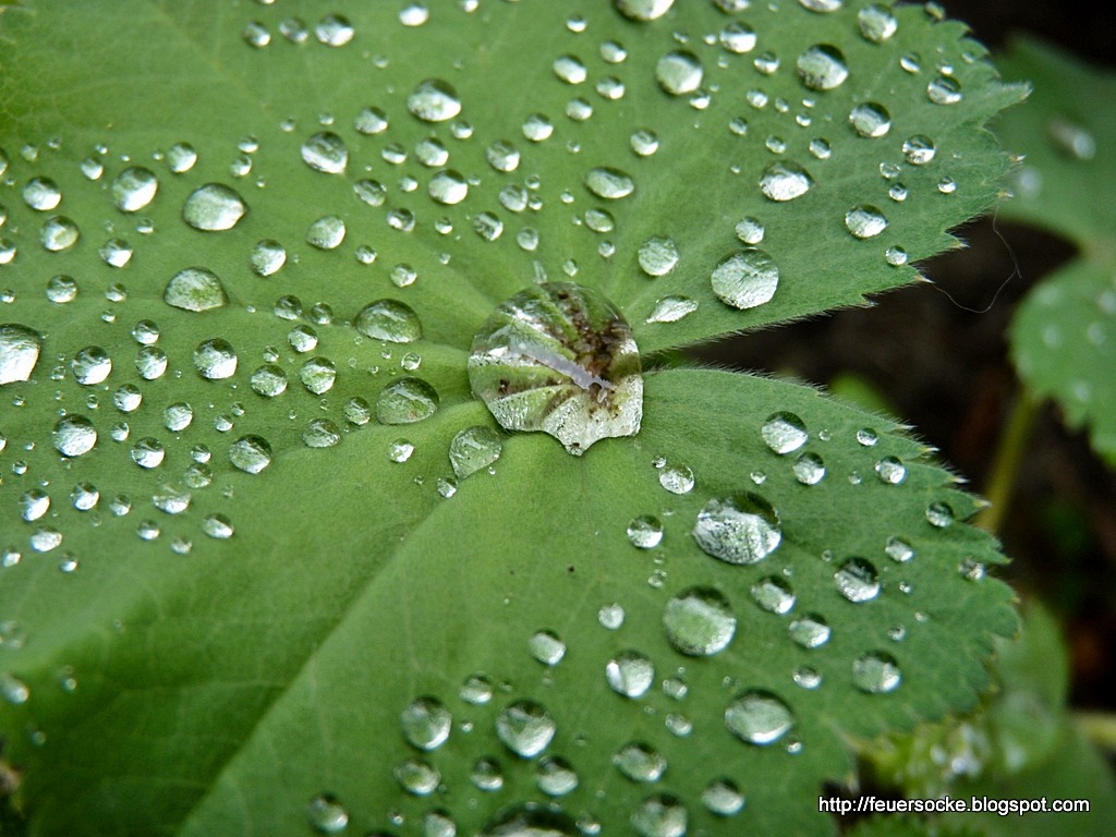 [P1000939[3].jpg]