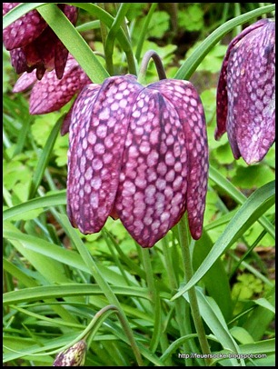 P1000843
