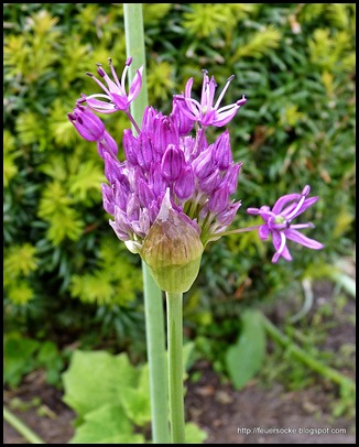 P1010047