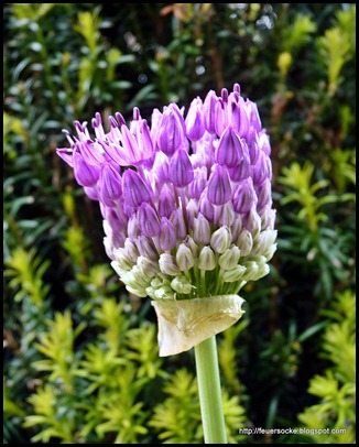 P1010056
