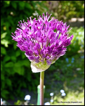 P1010002