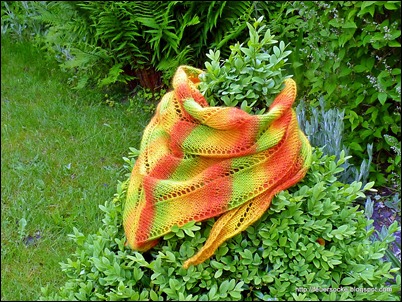 P1010132