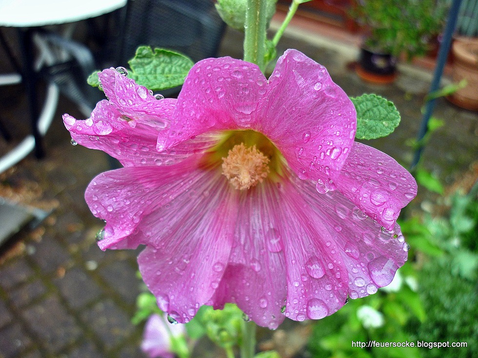 [P1000234[6].jpg]