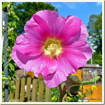 P1010562
